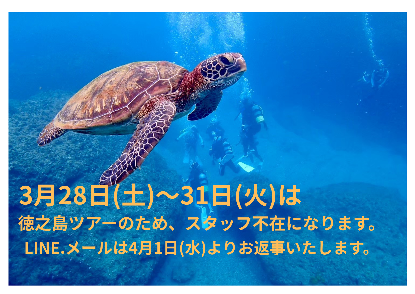 3月28日(土)～31日(火)は徳之島ツアーのため、不在になります！