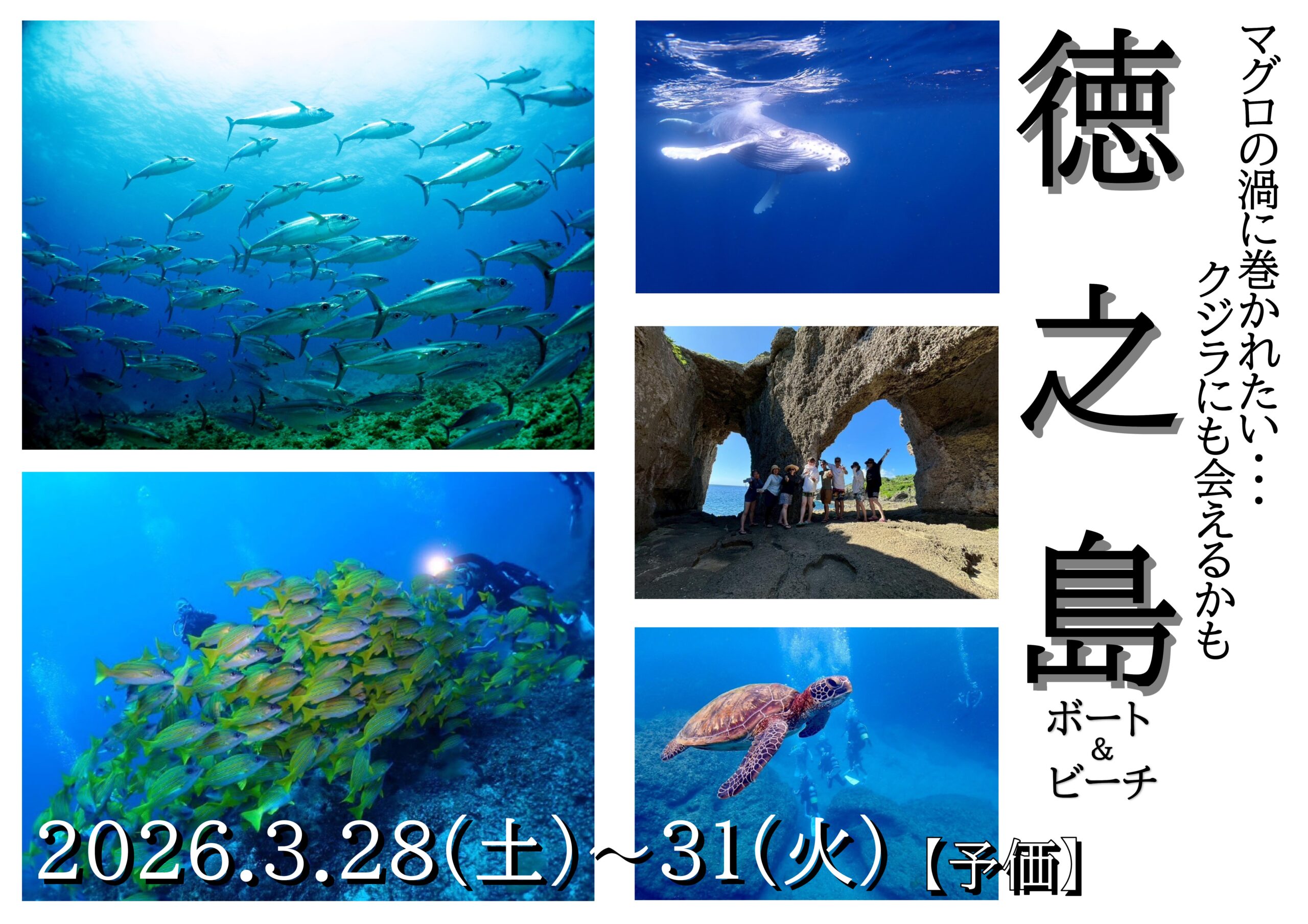 マグロを狙え！！もしかしたらクジラにも！？鹿児島県・徳之島！！