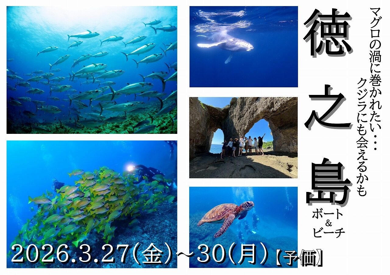 マグロを狙え！！もしかしたらクジラにも！？鹿児島県・徳之島！！